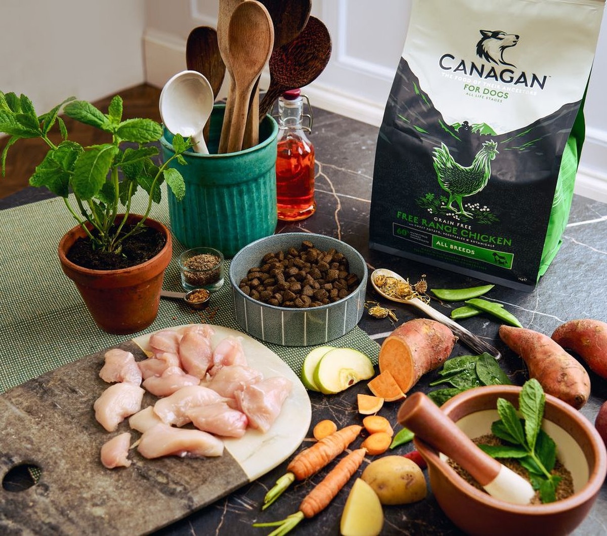 Canagan FreeRange Chicken Dry Dog 6kg |Save at Petshop.co.uk